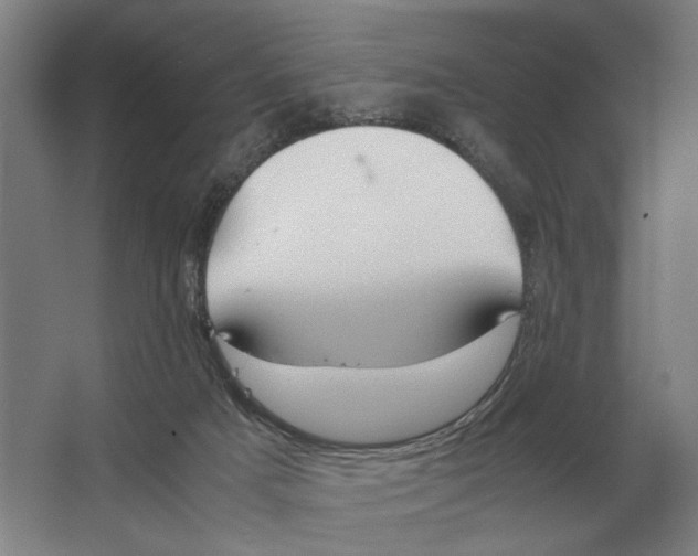 X0000062920025200601271817