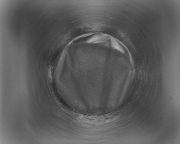 X0000062920026200601271817