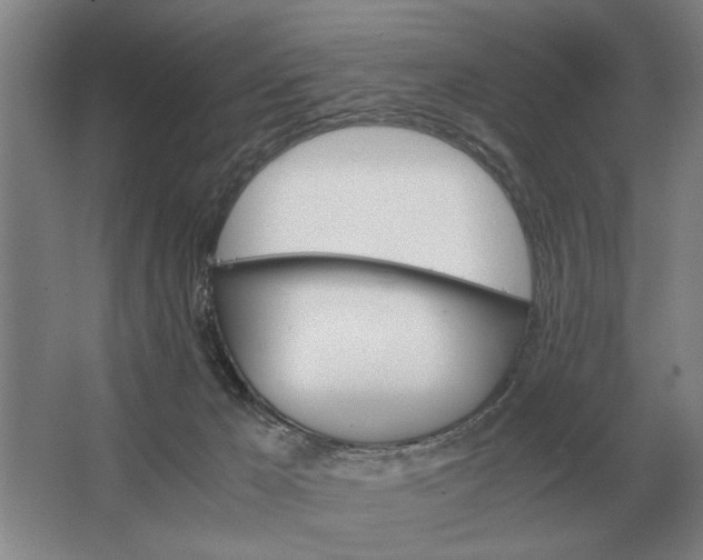 X0000062920029200601271817