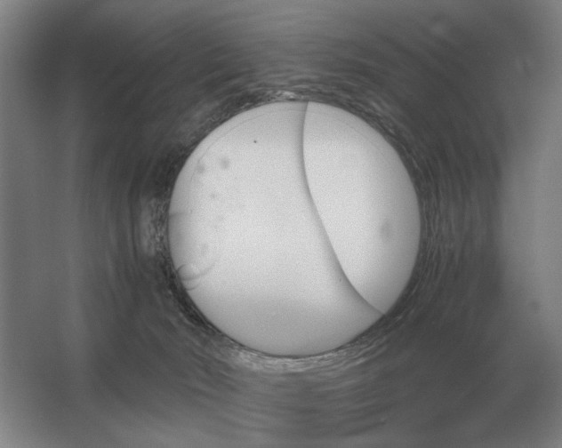 X0000062920030200601271817