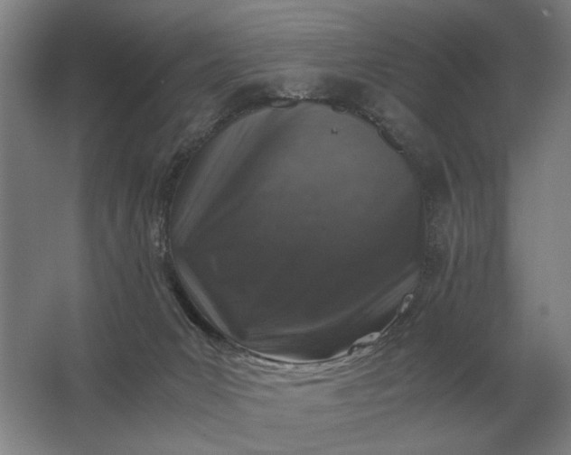 X0000062920031200601271817