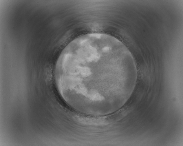 X0000062920032200601271817