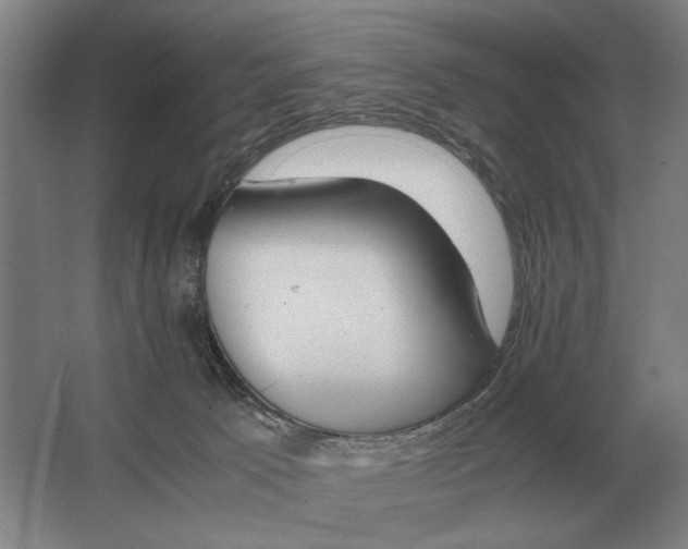 X0000062920033200601271817