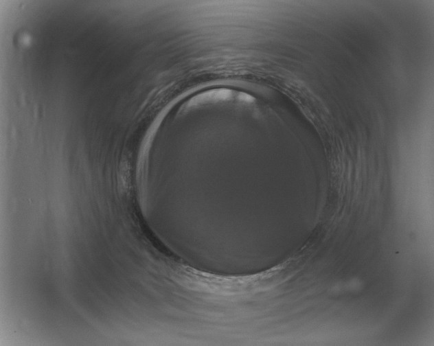 X0000062920035200601271817