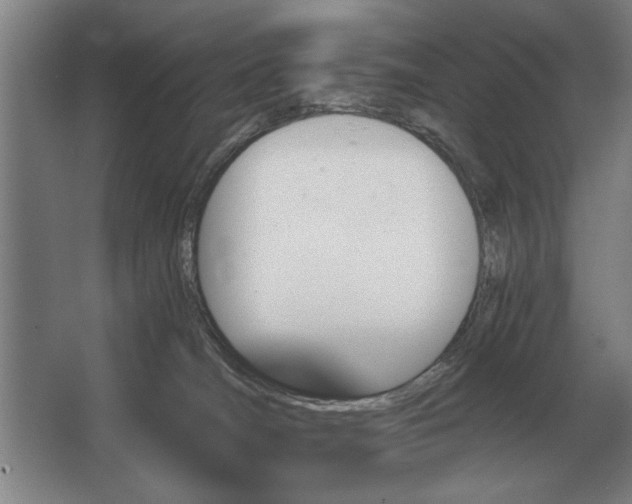 X0000062920036200601271817