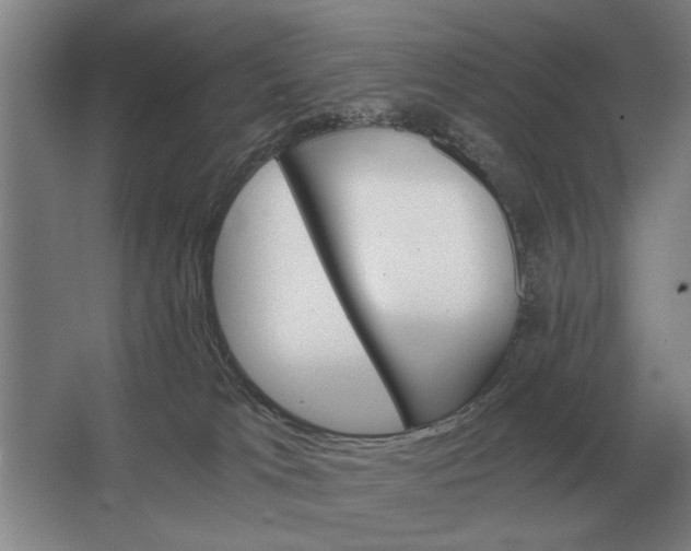 X0000062920037200601271817