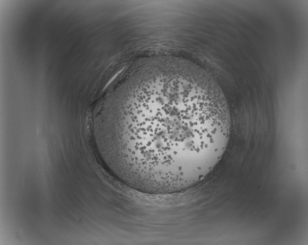 X0000062920038200601271817