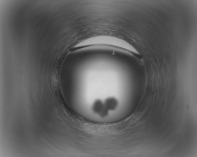 X0000062920040200601271817