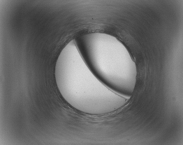 X0000062920041200601271817