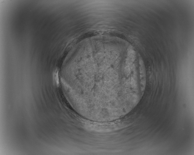 X0000062920042200601271817