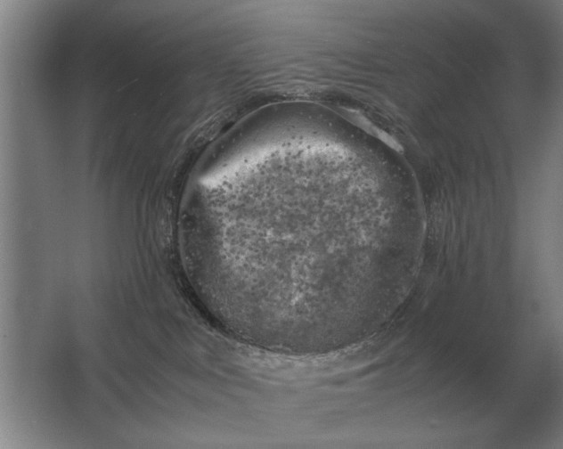 X0000062920043200601271817