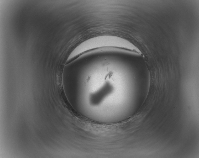 X0000062920044200601271816