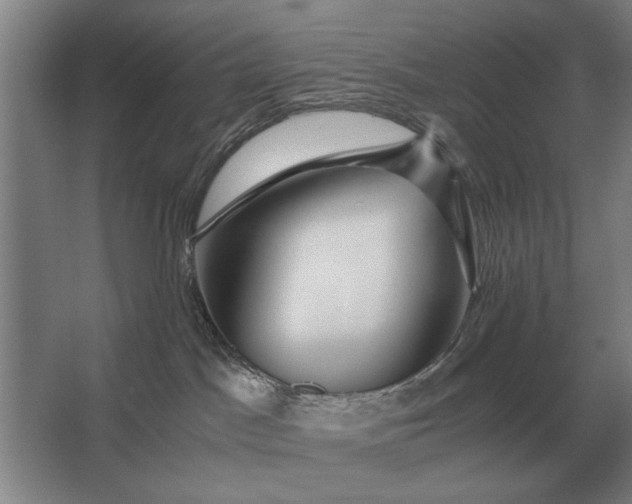 X0000062920045200601271816