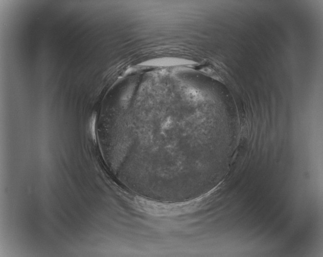 X0000062920047200601271816