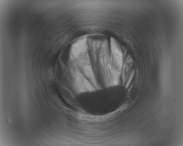 X0000062920048200601271816