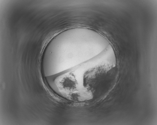 X0000062920049200601271816