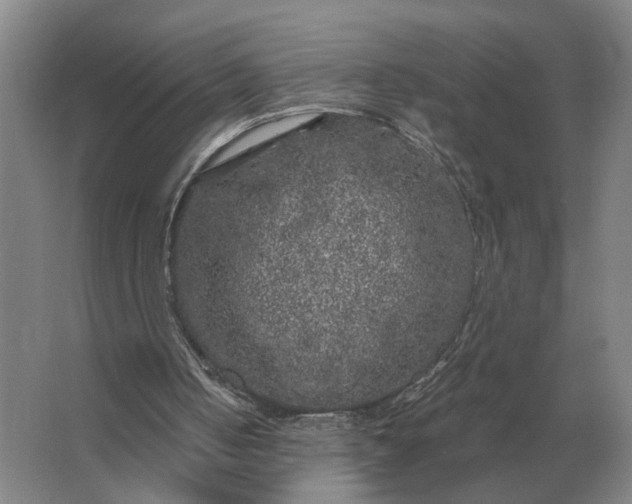 X0000062920050200601271816