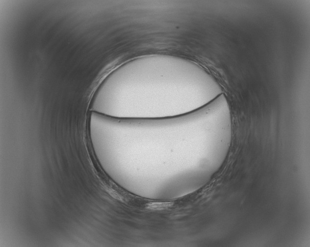 X0000062920051200601271816