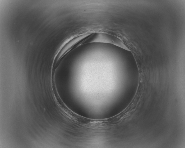 X0000062920052200601271816