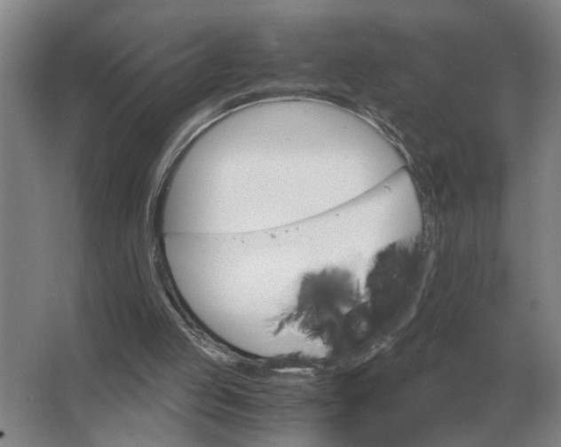 X0000062920053200601271816