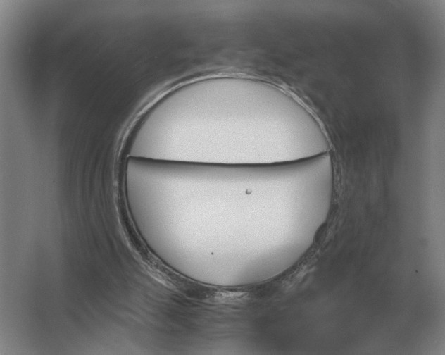 X0000062920055200601271816