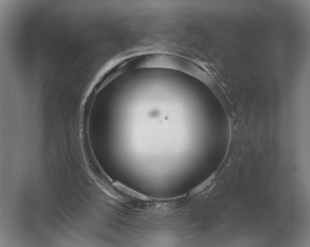 X0000062920056200601271816