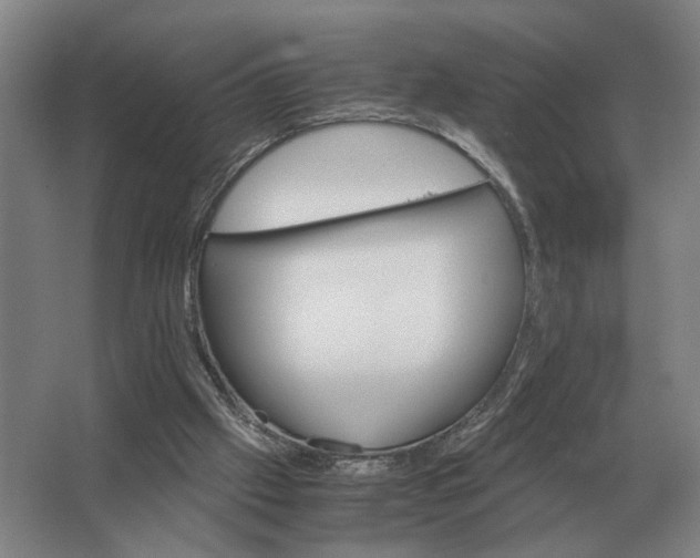 X0000062920057200601271816