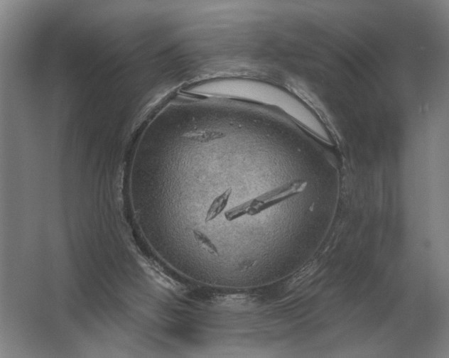 X0000062920058200601271816