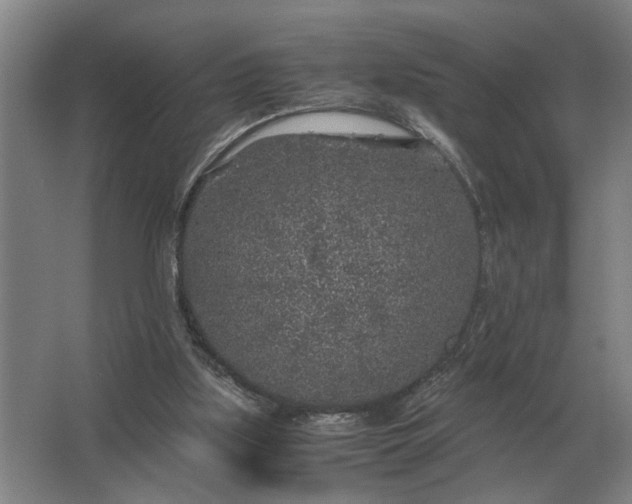 X0000062920059200601271816