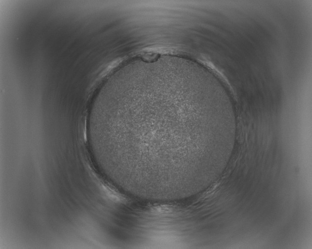 X0000062920062200601271816