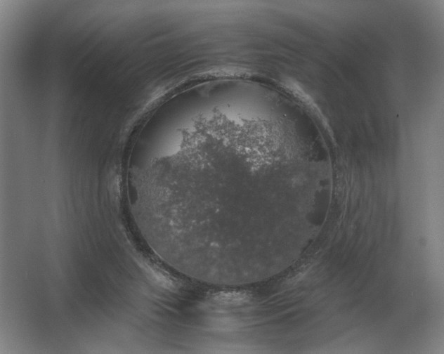 X0000062920063200601271816