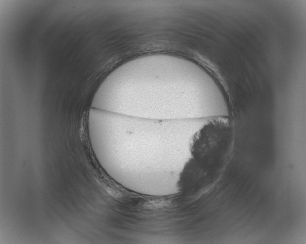 X0000062920065200601271816