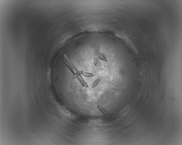 X0000062920066200601271816