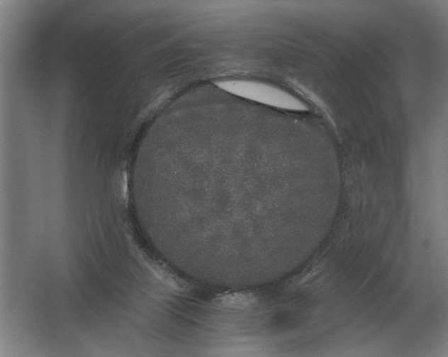 X0000062920067200601271816