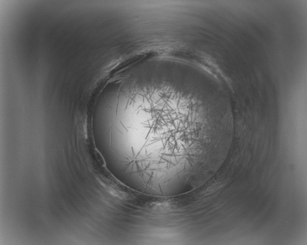 X0000062920068200601271816