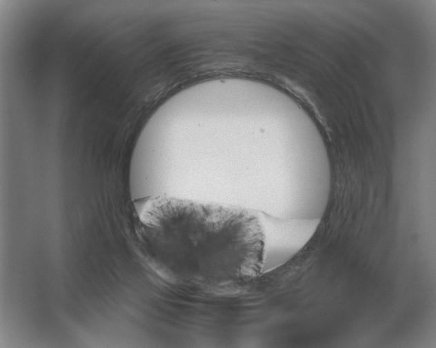 X0000062920069200601271816