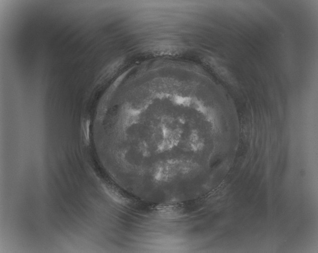 X0000062920070200601271816