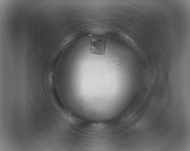 X0000062920071200601271816