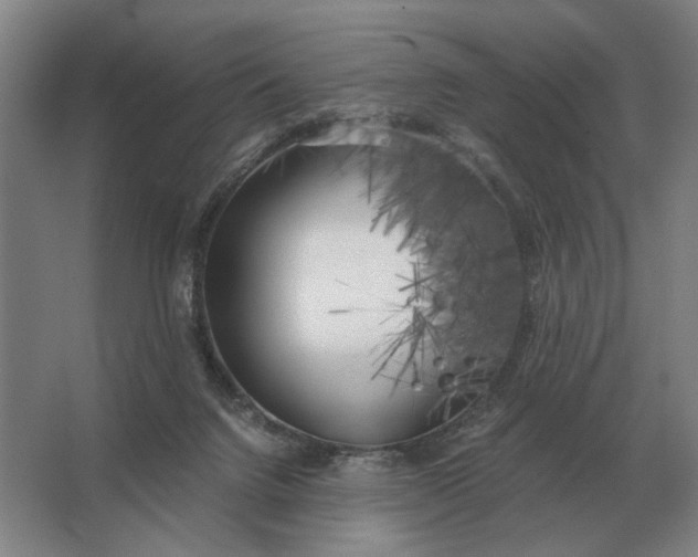 X0000062920072200601271816