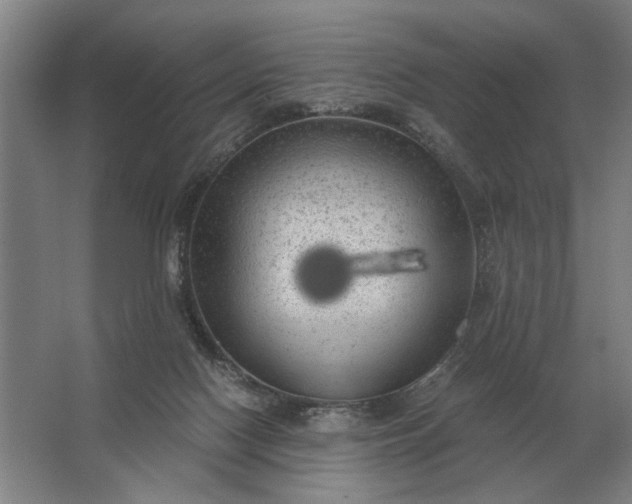 X0000062920074200601271816