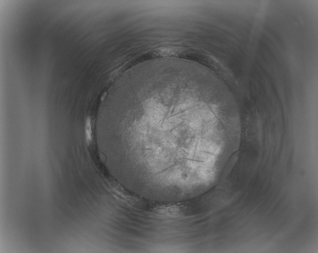 X0000062920075200601271816