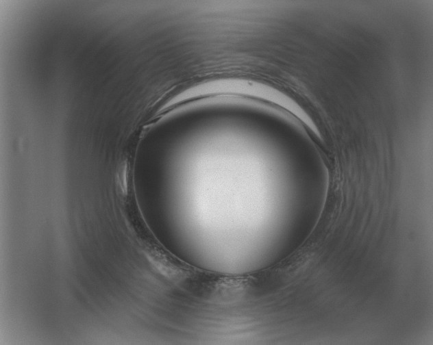 X0000062920076200601271816