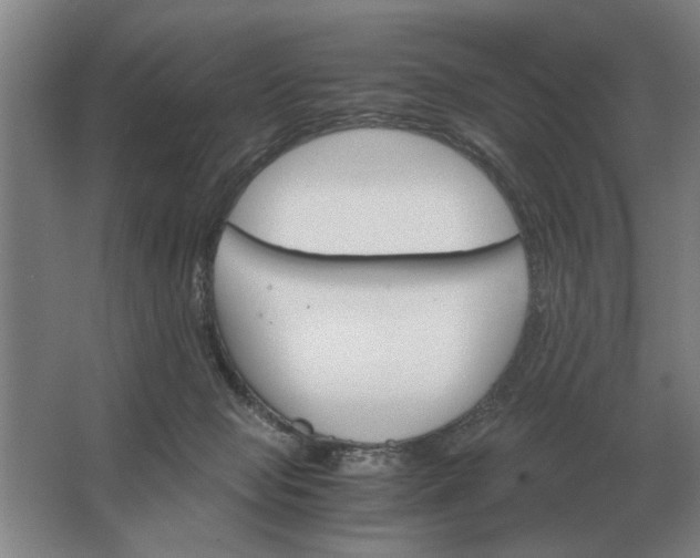 X0000062920077200601271816