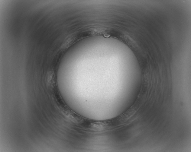 X0000062920079200601271816