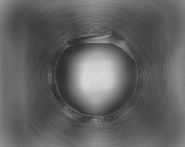 X0000062920080200601271816