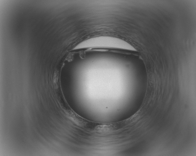 X0000062920082200601271816