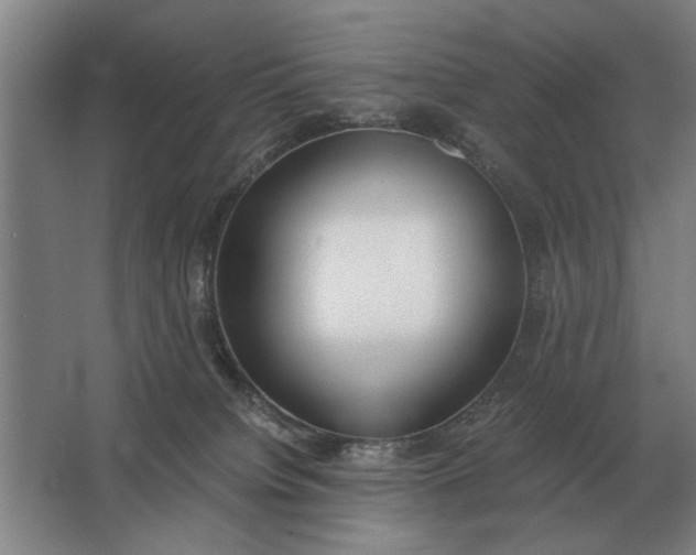 X0000062920084200601271816