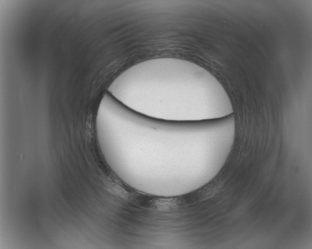 X0000062920085200601271816