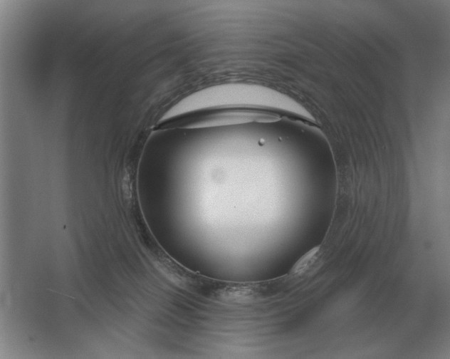 X0000062920086200601271816