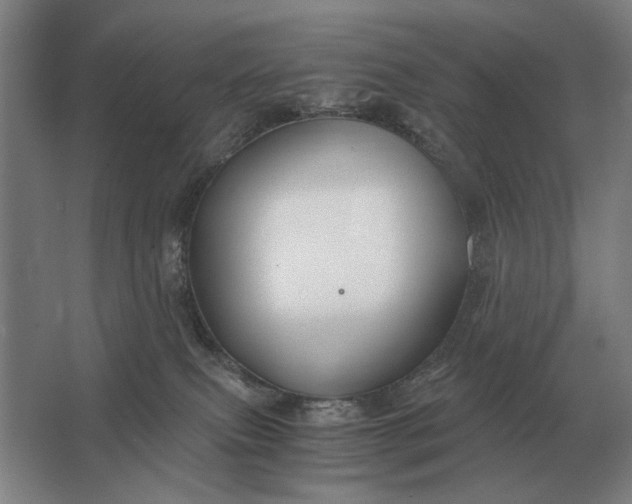 X0000062920087200601271816